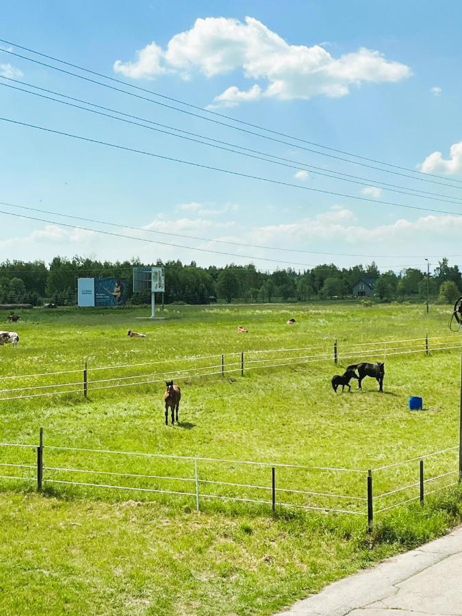 Apartament Dwupoziomowy Nad Tamami Закопане Экстерьер фото